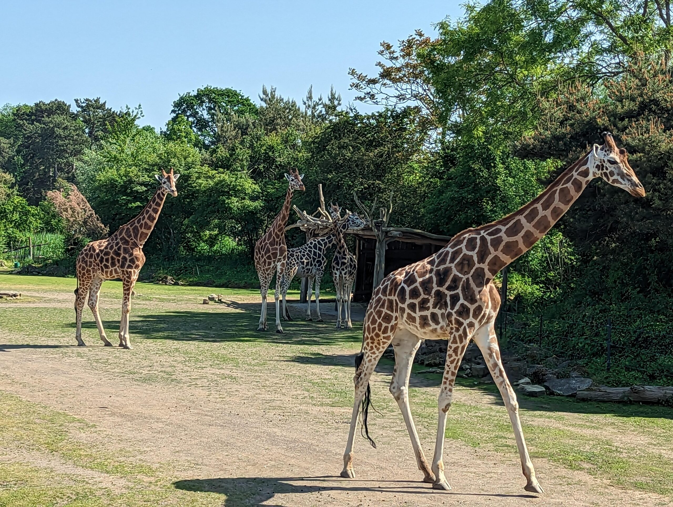 Leipziger Zoo