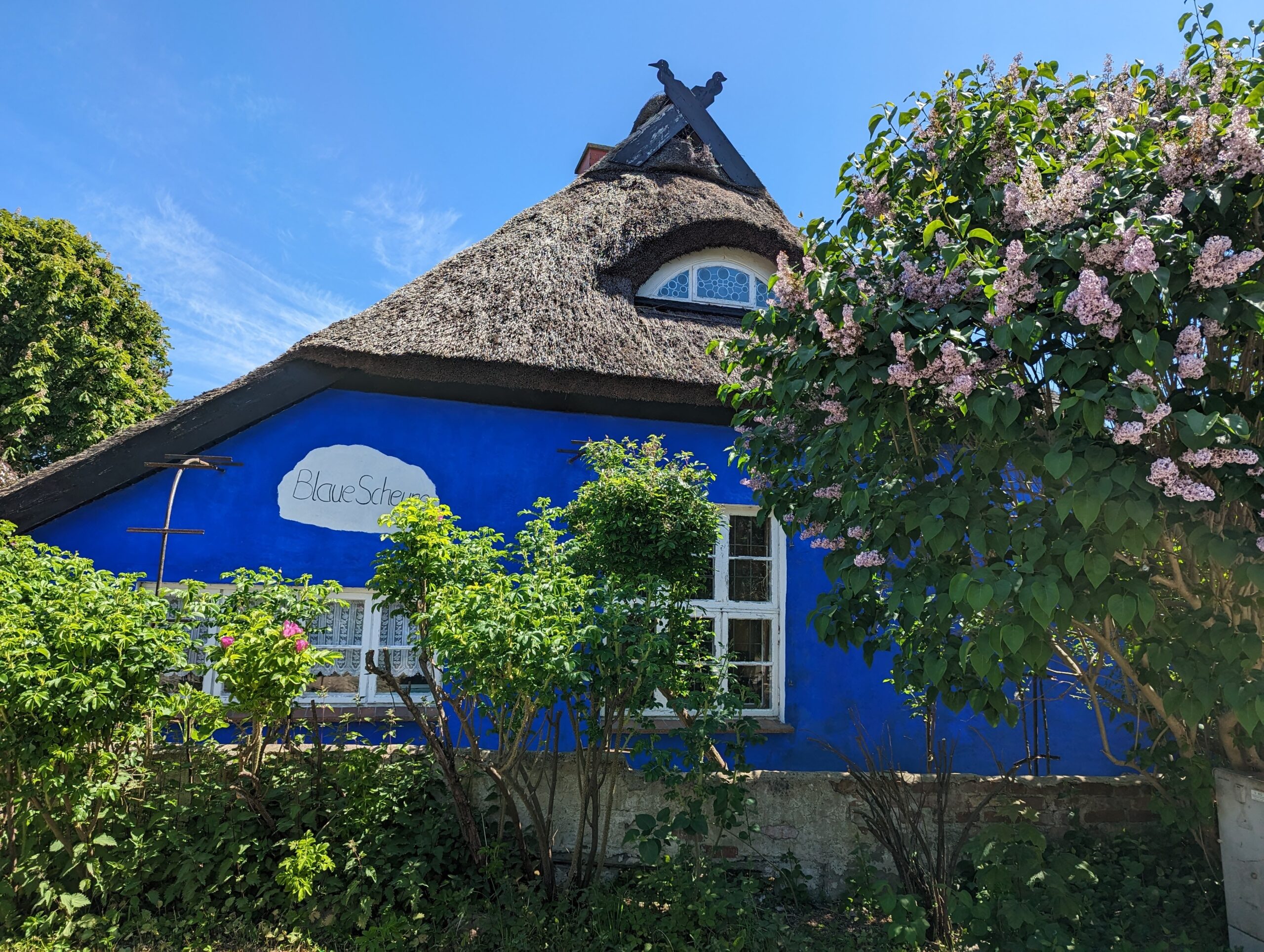 Hiddensee, Hufeisen, Hubschrauber, Höckerschwäne, Hauptmann-Sommerresidenz, hügelige, holprige Auf- und Abfahrt