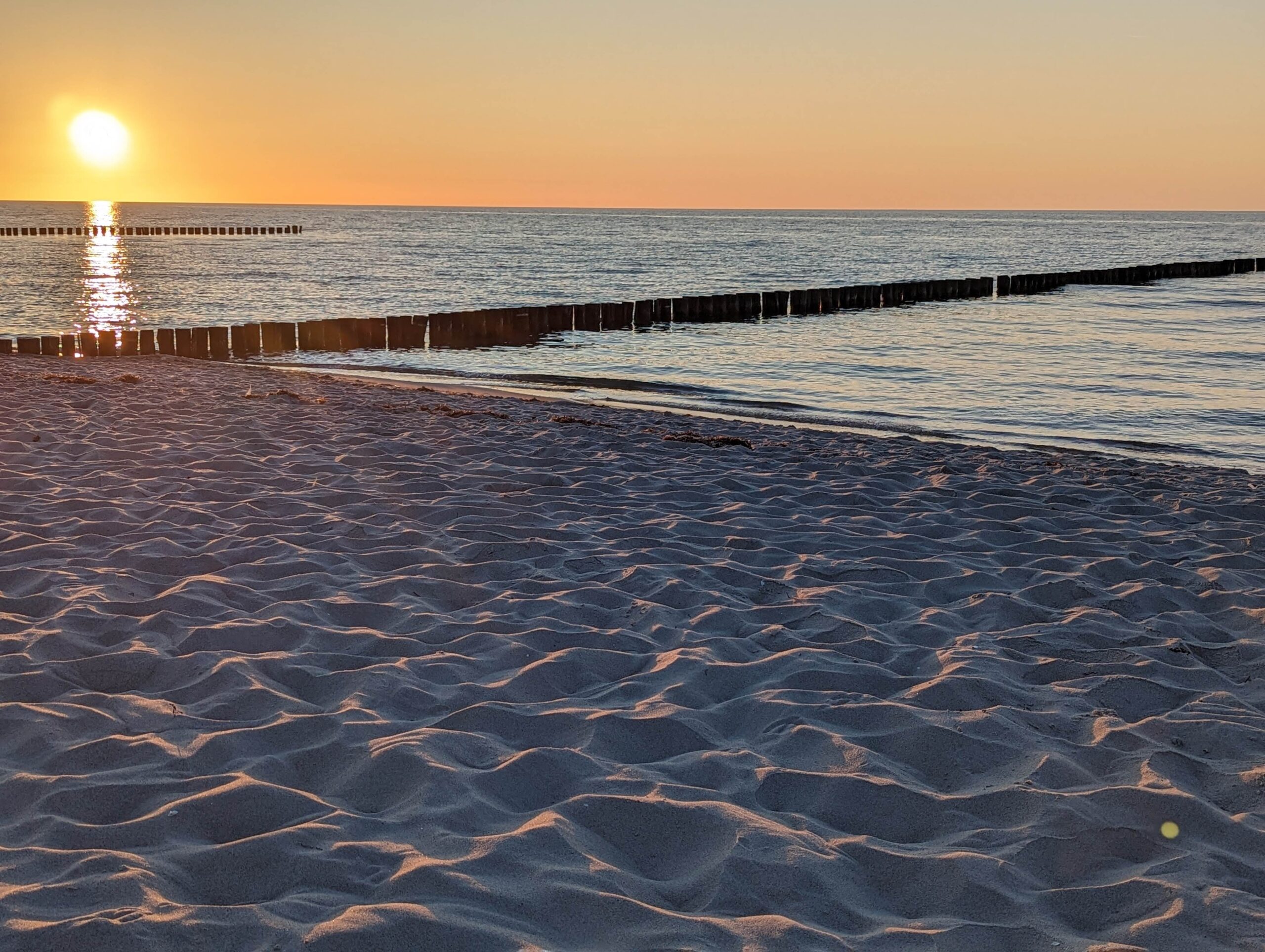 Untertauchen, Umweltfotofestival, Urlaubsende (zumindest in Zingst)