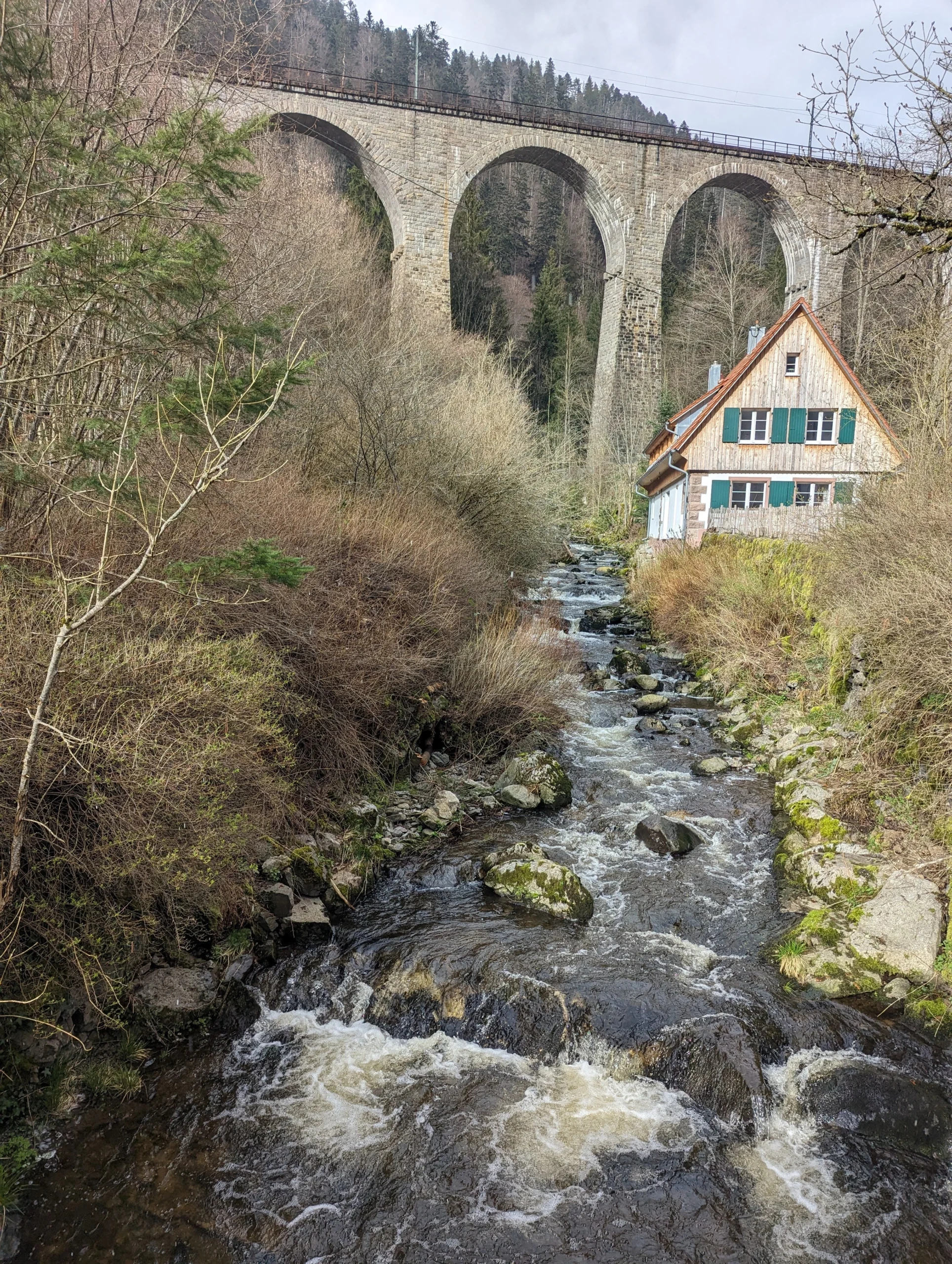 Ravennaschlucht, Roibuschtee, Rathausplatz (Freiburg), Reinfall, Reigen, Rundumblick, Rumgekraxel, Regenguss