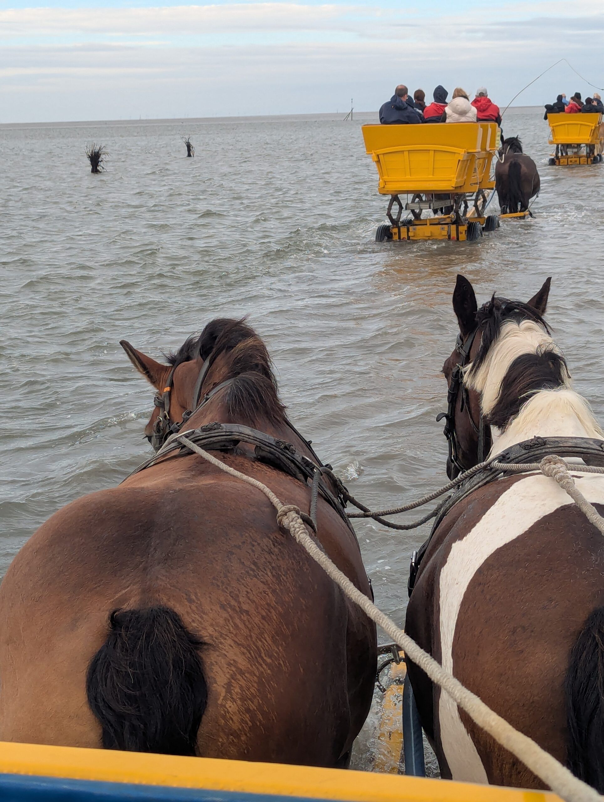 Weltnaturerbe Wattenmeer, Wattwagenfahrt, Wattenpost, Wattenlauf, Wasserturm, Wellenbad