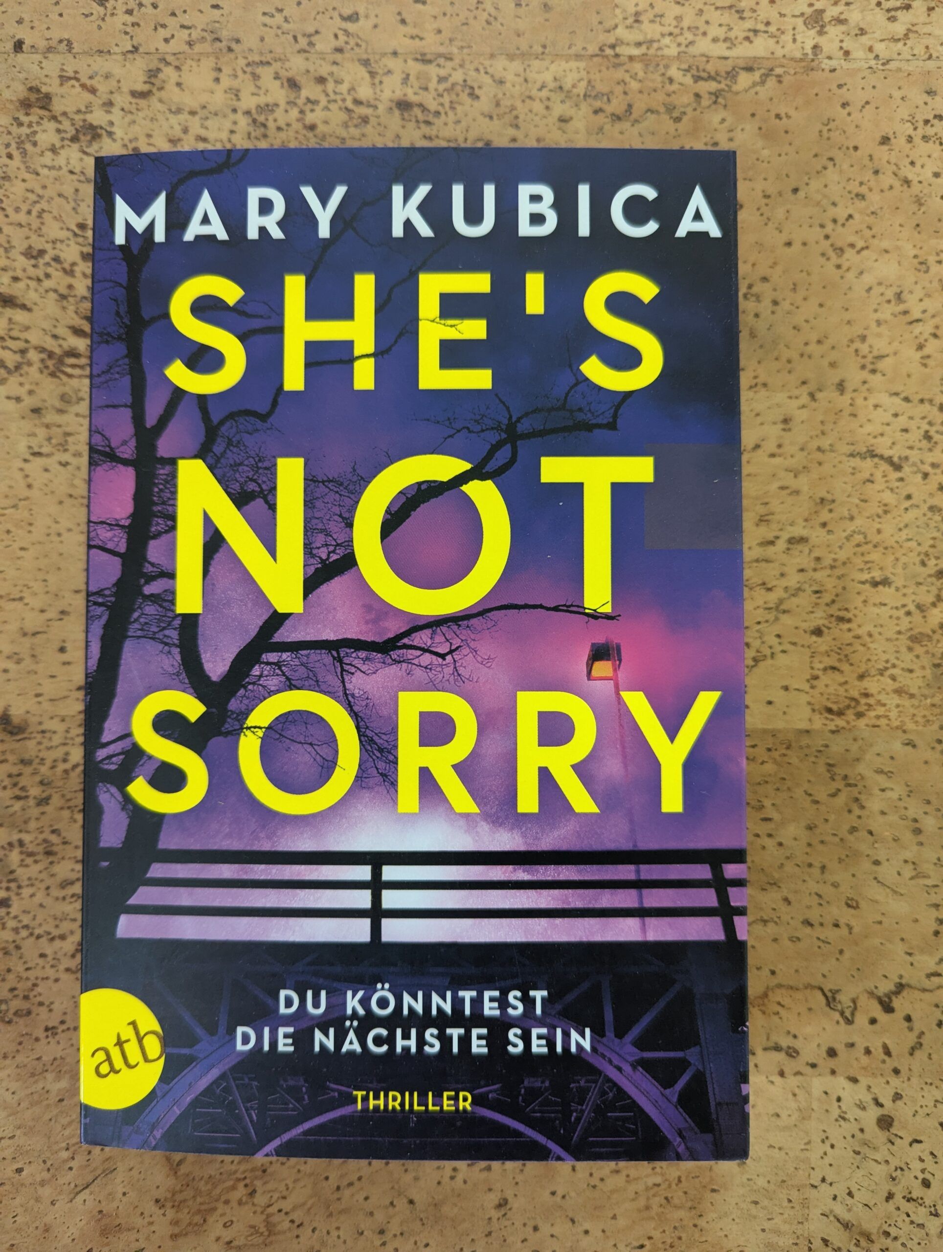 She’s not sorry – Du könntest die nächste sein von Mary Kubica aus dem atb-Verlag