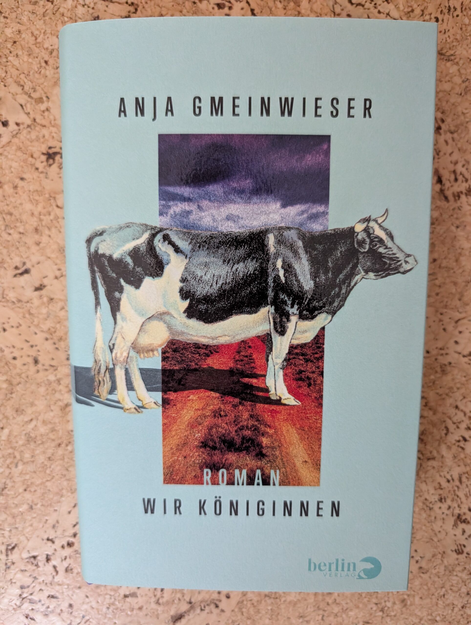 Wir Königinnen von Anja Gmeinwieser aus dem Berlin Verlag